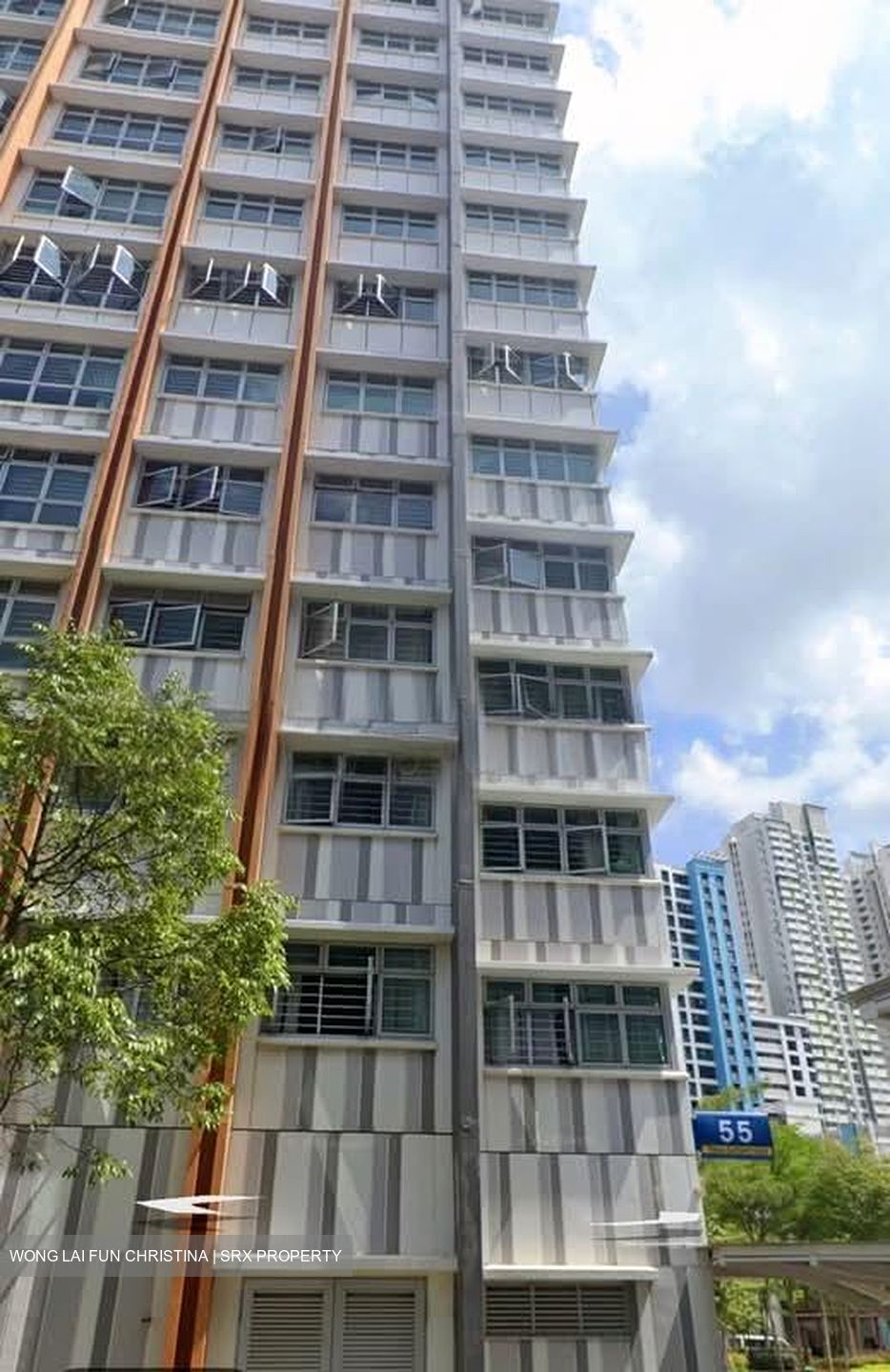 Blk 55 Teban View (Jurong East), HDB 4 Rooms #581822061